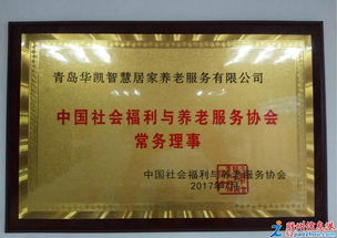 华凯居家养老 以先进设备与中医智慧守护老人健康